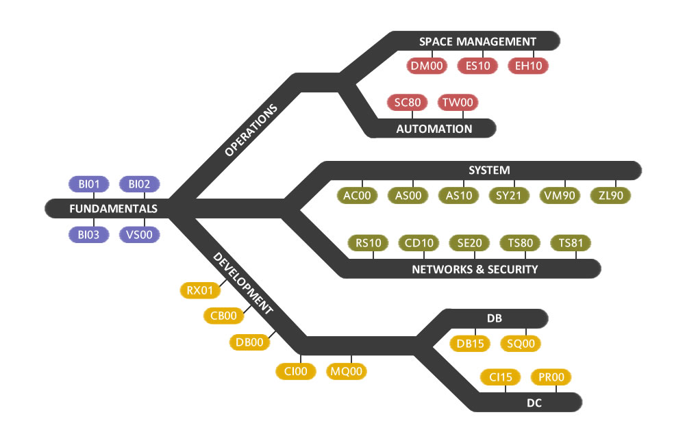 Courses provided by Blondeau’s IBM training program